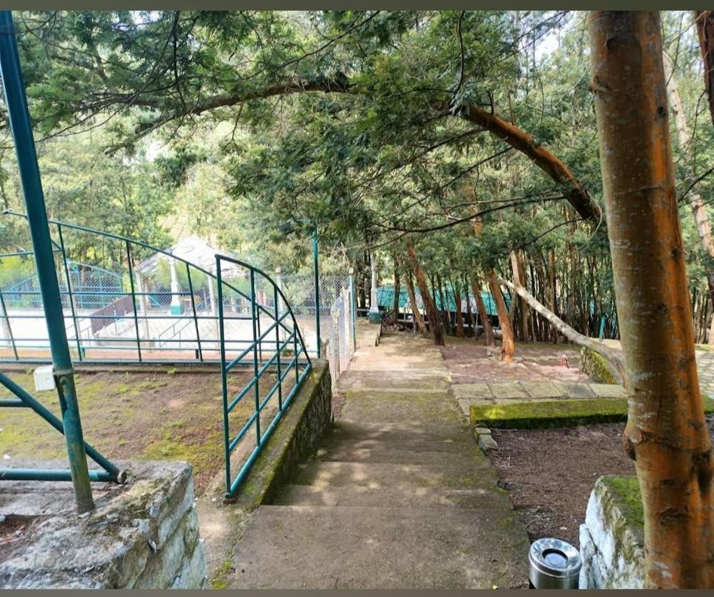 Hotel The Den By Trees Kotagiri Esterno foto